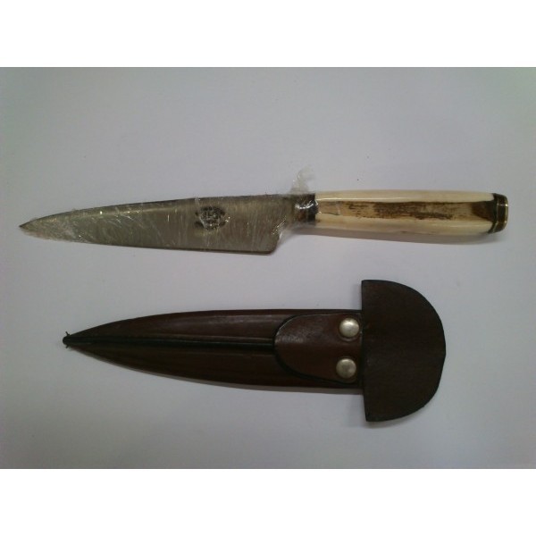 Cuchillo De Mango De Hueso De ñandú