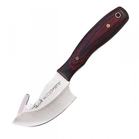 Muela - Cuchillo Raccoon 8